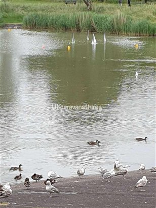 Burnham-on-Sea Holiday Park, Ref 12021