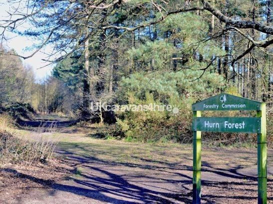 Forest Edge Holiday Park, Ref 12683
