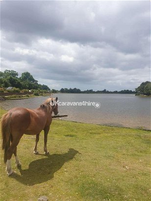 Shorefield Country Park, Ref 13753