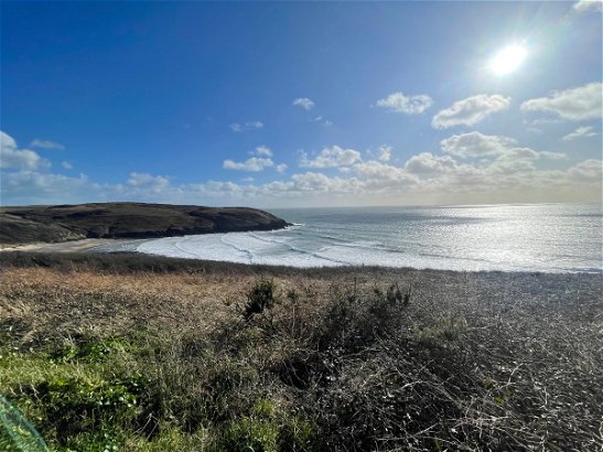Manorbier Country Park, Ref 14686