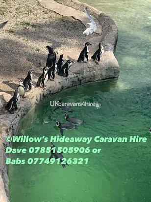 Flamingo Land Holiday Park, Ref 15826