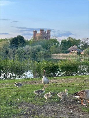 Tattershall Lakes Country Park, Ref 18556